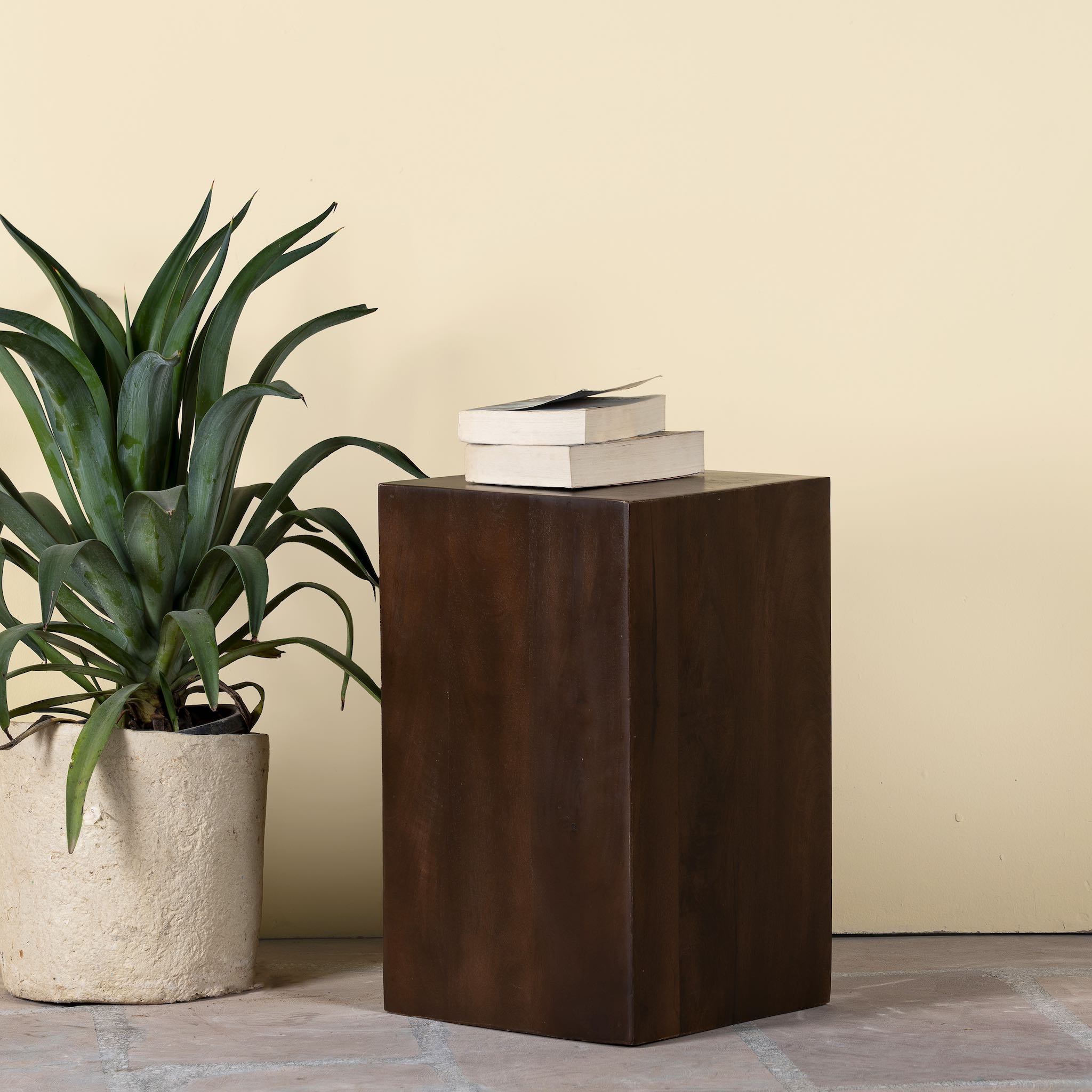 Tall minimalist side table in solid mango wood, coffee table mango wood, Indian home decor, 30 × 30 × 50 cm.